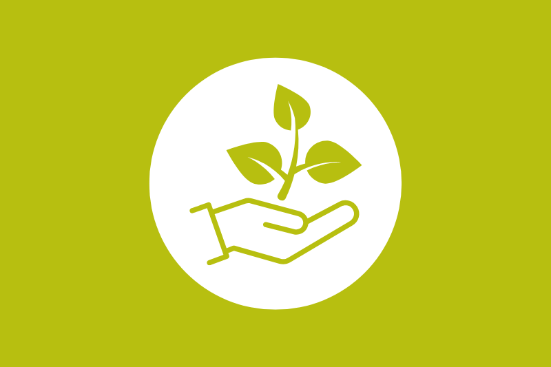 Eine Hand hält eine schwarze Computermaus (Foto: Stadt Heidelberg/ Pellner)