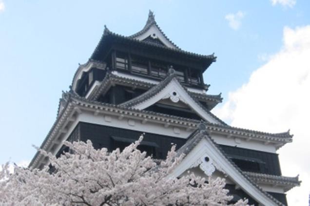 Kumamoto castle with cherry tree (picture: City of Kumamoto) Kumamoto castle with cherry tree (picture: City of Kumamoto)