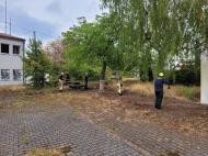 Feuerwehrleute schneiden Gras und Unkraut zurück