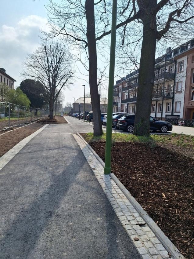 Die Clara-Immerwahr-Straße ist ein Fuß- und Radweg. Die Bäume wurden in die Planung integriert, sodass der Weg nicht gerade verläuft, sondern um sie herumführt. (Foto: Stadt Heidelberg) Neu angelegter Fußweg mit Bäumen am Rand.