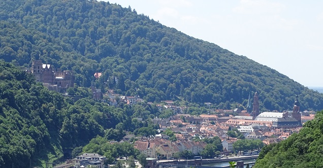 Zu sehen ist der Heidelberger Stadtwald am Königstuhl, mit dem Heidelberger Schloss und der Altstadt.