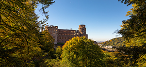 Das Heidelberger Schloss im Herbst. (Foto: Dittmer)
