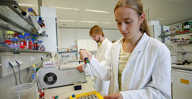 Forscher im Labor (Foto: Universität Heidelberg)